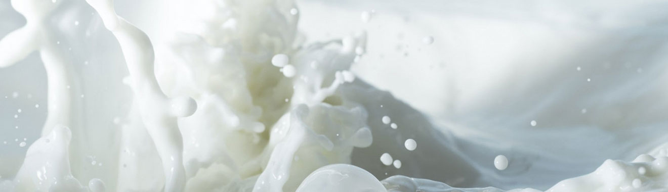 ผลิตภัณฑ์นม