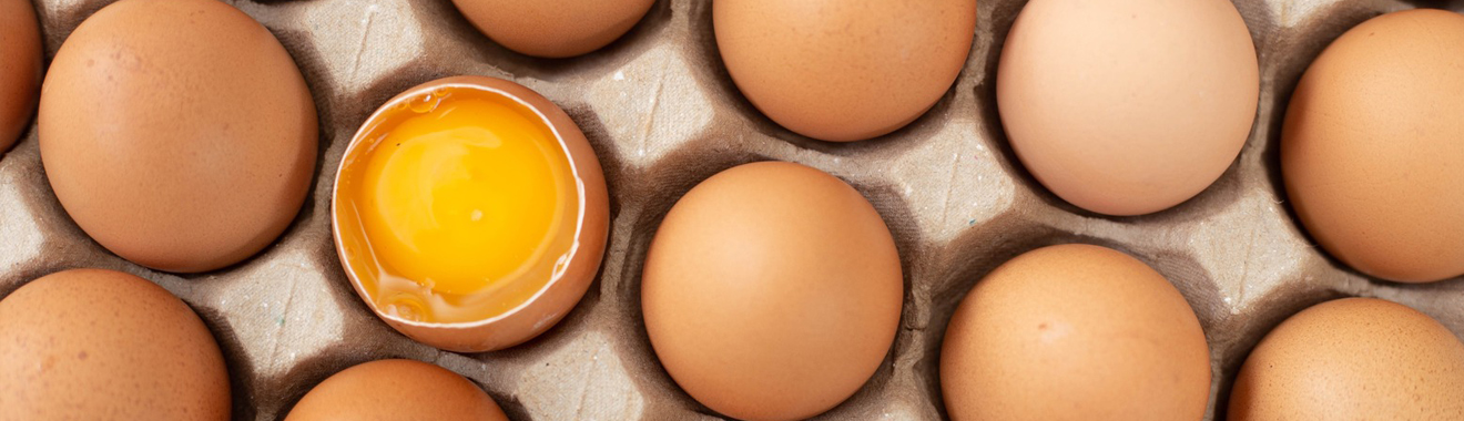 เทคโนโลยีที่รองรับ